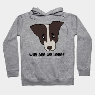 why are we here?. sad dog Hoodie